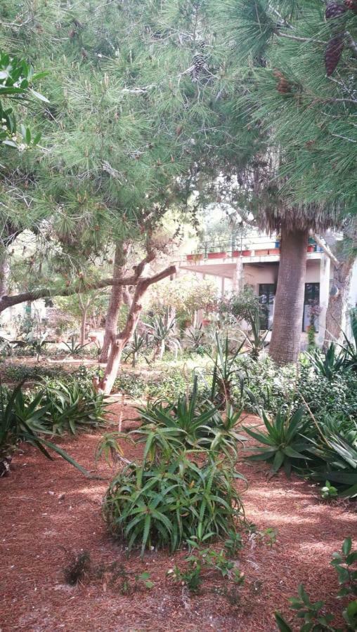 شقة Il Giardino Su Lido Burrone فافينانا المظهر الخارجي الصورة